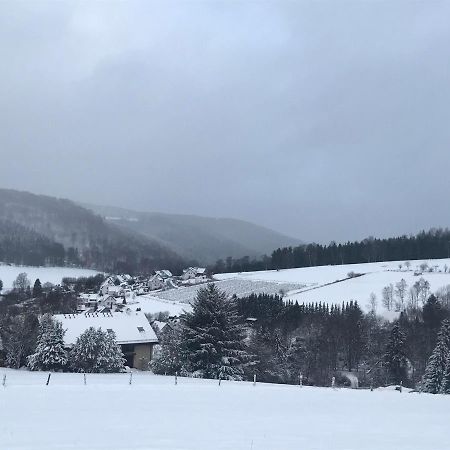 Appartement Familie Willems Winterberg 2 エクステリア 写真