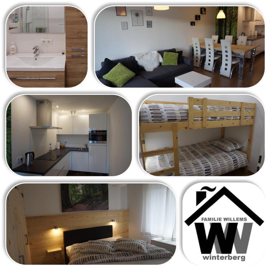 Appartement Familie Willems Winterberg 2 エクステリア 写真