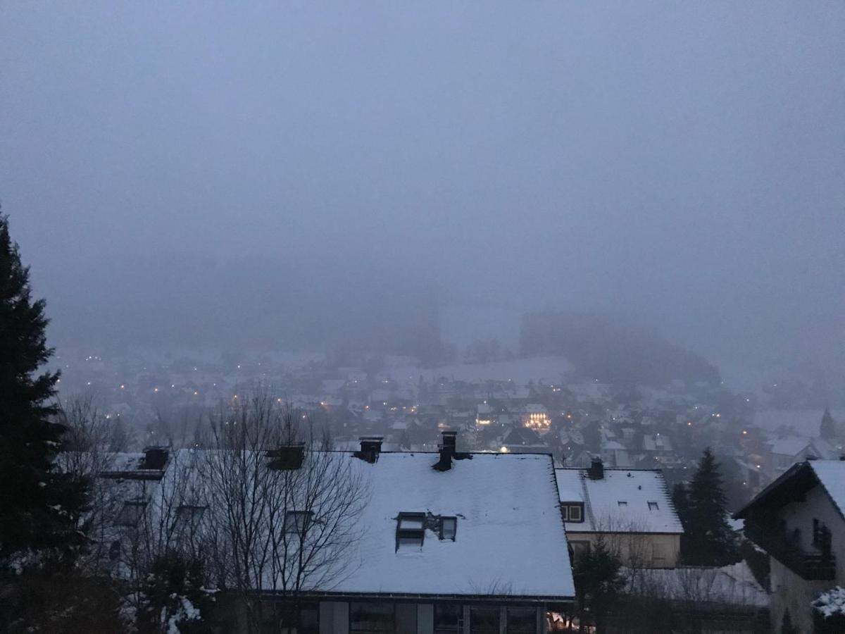 Appartement Familie Willems Winterberg 2 エクステリア 写真