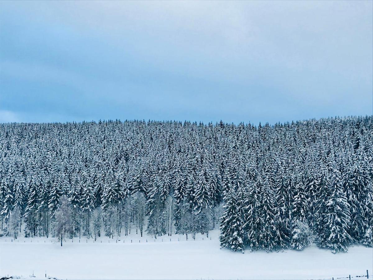 Appartement Familie Willems Winterberg 2 エクステリア 写真