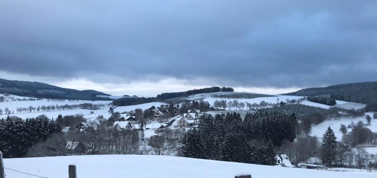Appartement Familie Willems Winterberg 2 エクステリア 写真