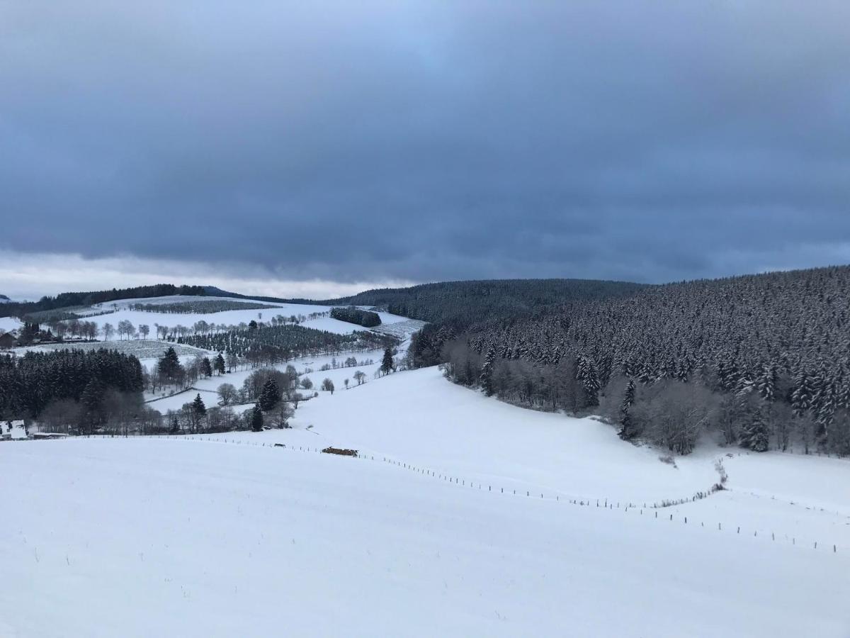 Appartement Familie Willems Winterberg 2 エクステリア 写真